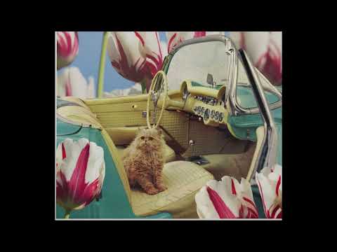 Shac Rivers - 12 - Is That All There Is