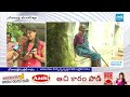 బోనాలపల్లెకి బుల్లెట్ గాయం: Misfire From Fire Station | Bonalapally Karimnagar | @SakshiTV - 10:49 min - News - Video