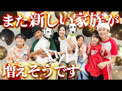 【涙が…】また新しい家族が増えそうです…