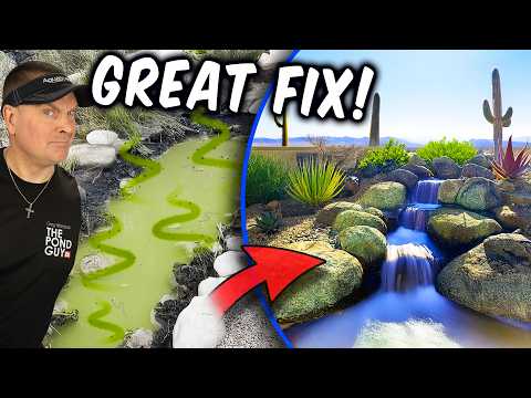 Stinky Water to Wonderful Backyard Waterfall I'm with CAC Ralph Biezad of Pondscapes AZ  out of Queen Creek, Arizona to visit his personal home a