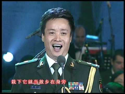 阎维文 - 小白杨 / 母亲
