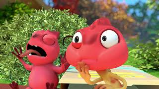 Cam a Leon 4 - Korenika