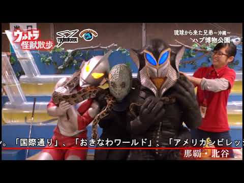 ウルトラ怪獣散歩 Official Youtube Channelの最新動画 Youtubeランキング