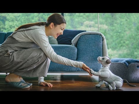 Sony brings back its iconic Aibo robot dog