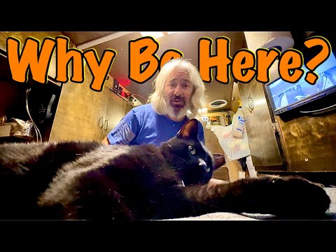 Van Life; I Hate Being Here… But I Have To!