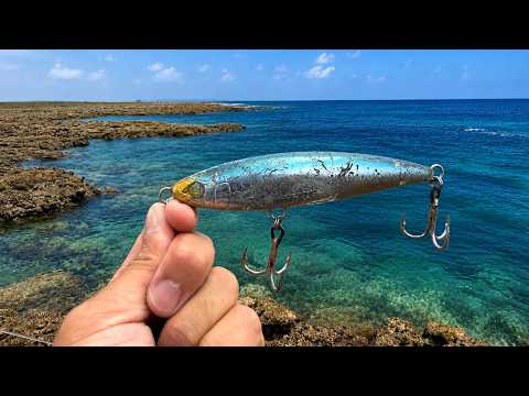 青物狙いで大きいルアーを投げ続けた結果、まさかの魚…！？