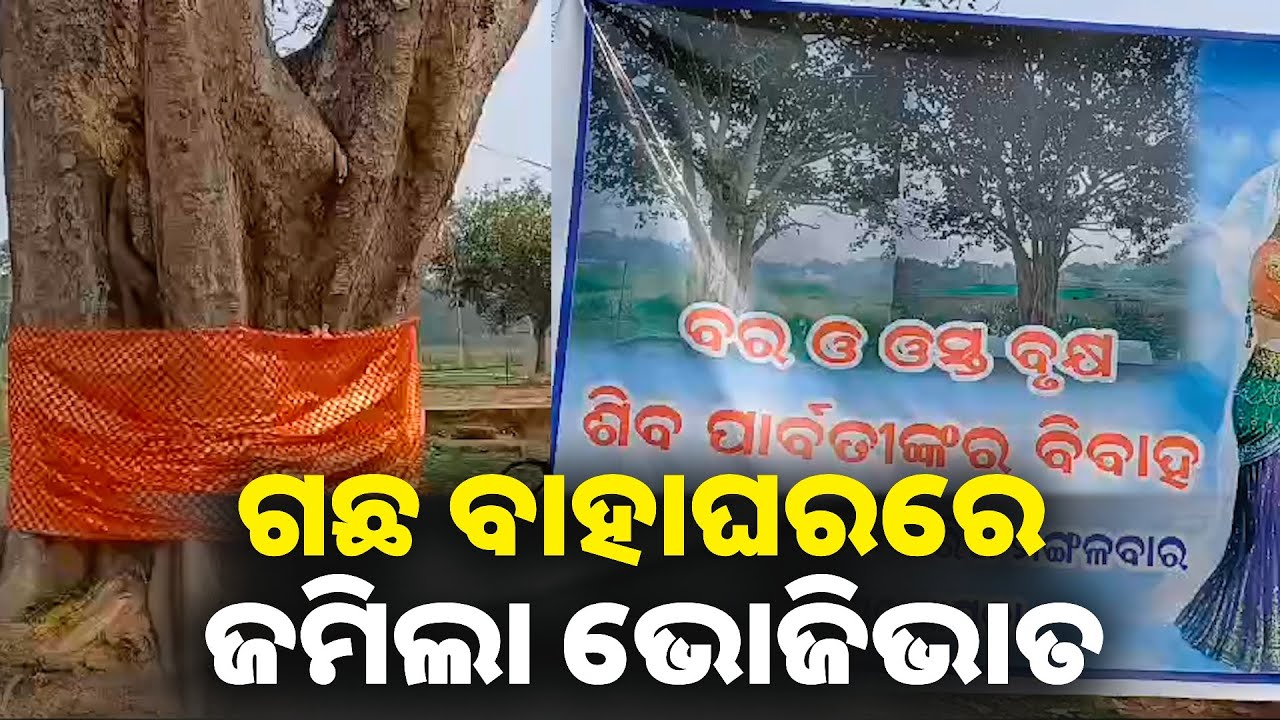 ବୃକ୍ଷ ସୁରକ୍ଷା ଜୀବନ ରକ୍ଷା ବାର୍ତ୍ତା ଦେଲେ ସୁକୁଆପଡା ଗ୍ରାମବାସୀ || Knews odisha