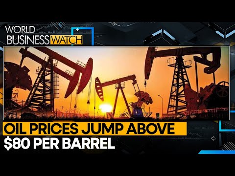 Tracking Crude Oil Volatility & Impact On Economies | World Business Watch | WION