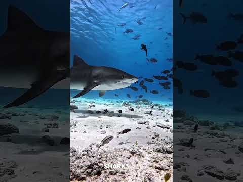 You Don't Know 🔥🔥 #facts