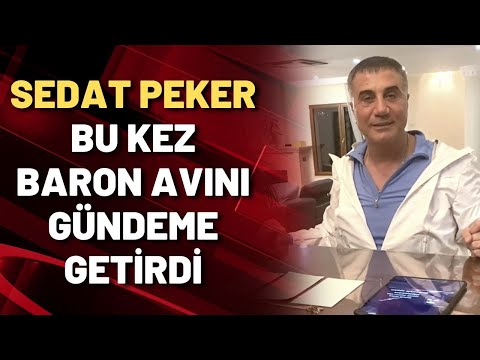 SEDAT PEKER BU KEZ BARON AVINI GÜNDEME GETİRDİ