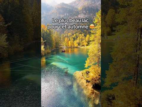 📍 Lac de Blausee , Suisse 😍 Incroyable pour cet automne ! 🍂#lake #switzerland #automne #randonnée