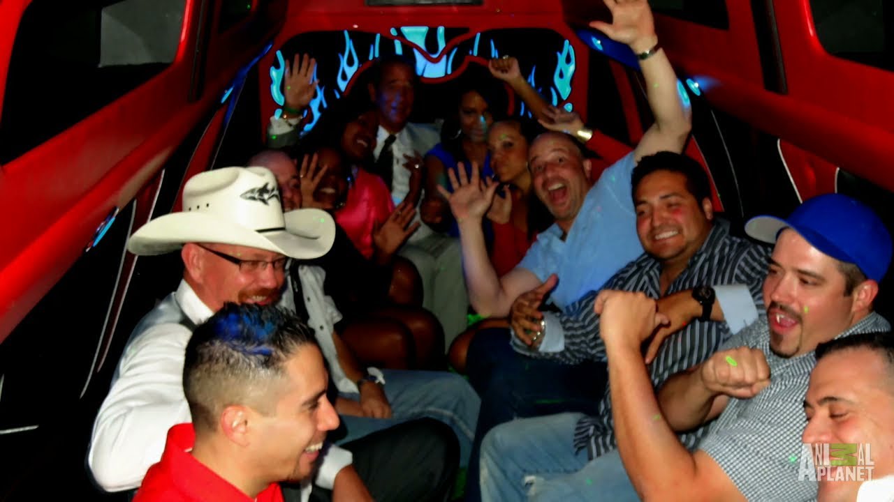Wayde S Wild Bachelor Party Tanked Youtube