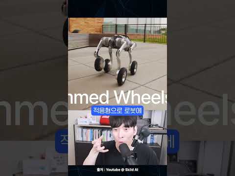이제 로봇이 모든 환경에 적응할 수 있습니다 ㄷㄷ #shorts