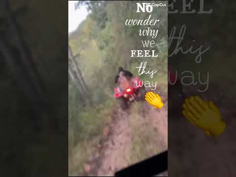 Dusty Bibles-Josiah Queen