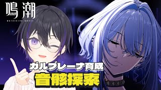 [ #鳴潮 ] 潮汐任務の感想を話しながらガルブレーナ用の音骸狩る [ #wutheringwaves ]