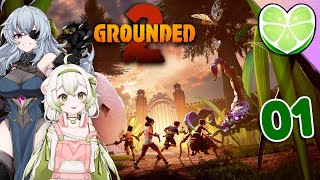 Honey, I shrunk the streamers! || Laimu, @GEEGA , @TomatoG & Boon play