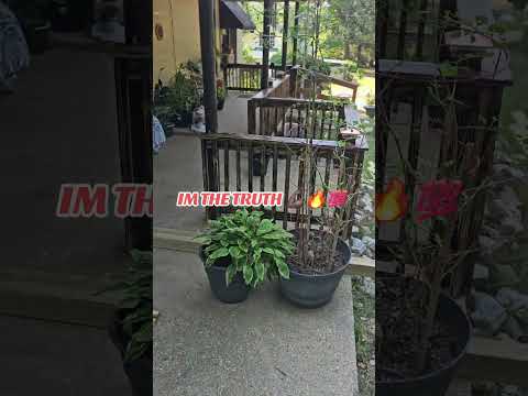 Nice Improvement  #diy #diybuild #diyideas