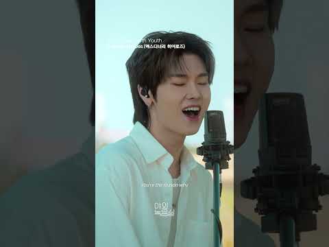 엑스디너리 히어로즈의 신곡 'Obsessed with Youth'🎙️ 지금 바로 야외녹음실에서 감상하세요! #엑스디너리히어로즈 #XdinaryHeroes #야외녹음실