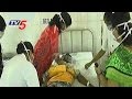 Dengue cases up in Hyderabad