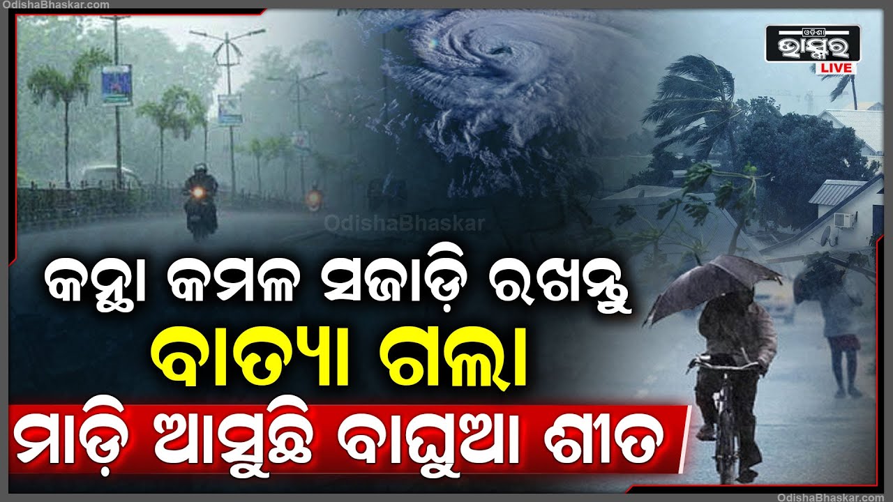 ବାତ୍ୟା ପରେ ଲାଗିରହିଛି ବର୍ଷା ..ଆଉ ଏହାସହ ମାଡି ଆସୁଛି ବାଘୁଆ ଶୀତ Rain