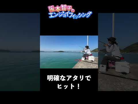 秋は良型チヌに期待】行こう！ ウキダンゴ釣り