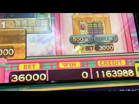 【最大120000枚賭け】カラコロッタ廃ベット祭2日目　メダルゲーム配信