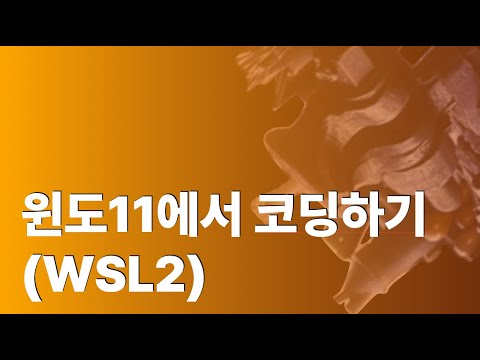 윈도11에서 코딩하기(WSL2)