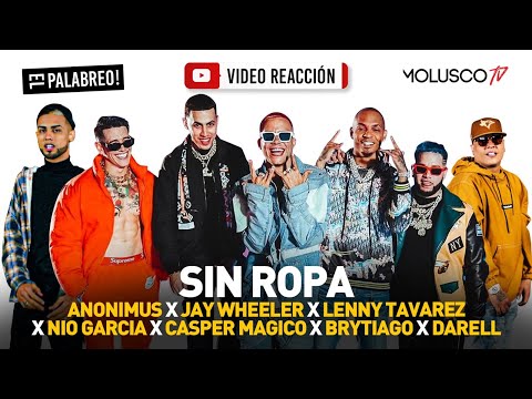 SIN ROPA REMIX ya está en la calle #VideoReaccion se activa #ElPalabreo ?