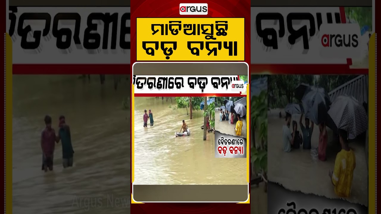 ମାଡିଆସୁଛି ବଡ଼ ବନ୍ୟା | Odisha Flood Alert: Major Flood Threat Looms as River Levels Rise | Argus News