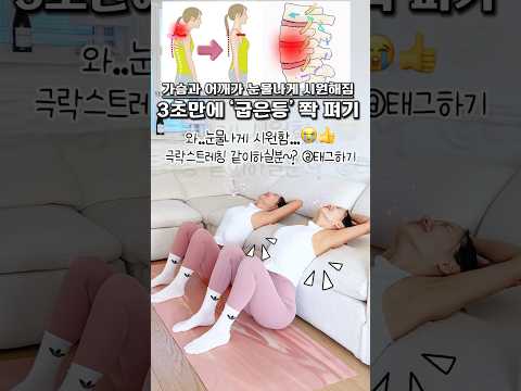 굽었던 등이 쫙-펴지고 가슴과 어깨가 눈물나게 시원함 #스트레칭 #극락스트레칭 #workout