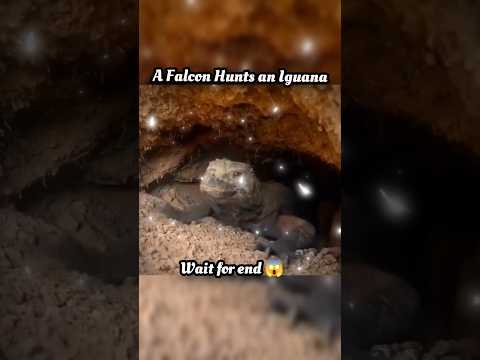 wait for end 😱 #trending#animals#wildlife#lion#shorts#youtube