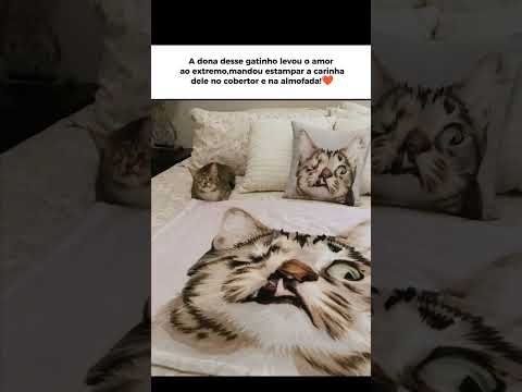 A dona desse gatinho fez uma linda homenagem pro seu gatinho pra sempre lembrar dele quando partir