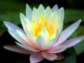 brightenenlighten