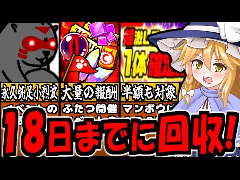 【にゃんこ大戦争】ねこのなつやすみ サバイバル 生きろ！マンボウコラボ 最終回  サマーガールズ 含む 超激1体確定キャンペーン開催! イベント終了までに やっておくべき事 徹底解説 【ゆっくり解説】