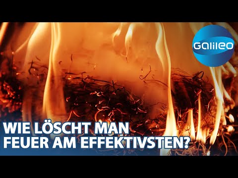 Ein Labor, das mit dem Feuer spielt! Die faszinierende Welt des Missoula Fire Schiences Lab