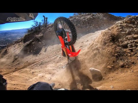 Crashing my motorcycle into a tree! Impossible!