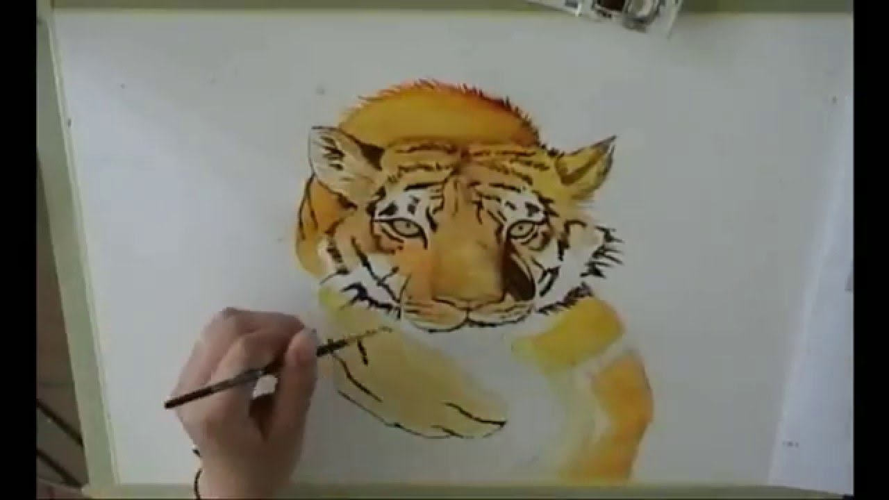 Come Disegnare Una Tigre Youtube