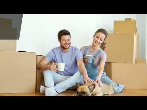 Superb Guide To Moving With Pets In Brisbane