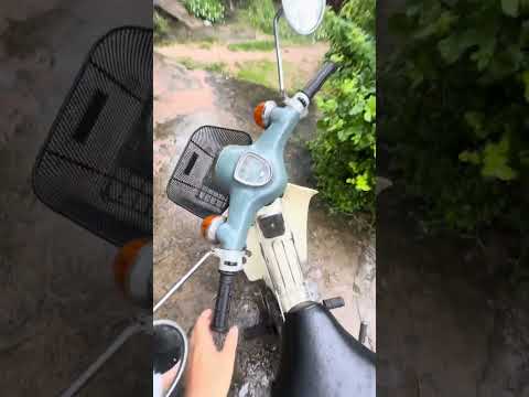 Chào buổi sáng…Chúc ae ngày mới an lành #mobylette #sachs