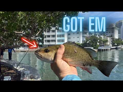 Almost gave up fishing… then we caught THIS! video thumbnail
