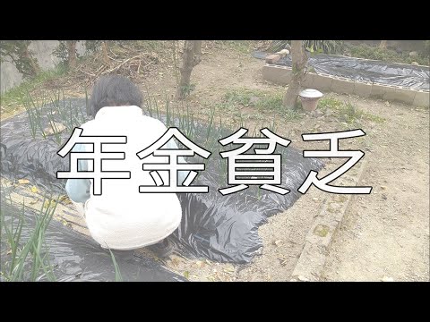 【70代熟年離婚】熟年離婚の厳しい現実。年金暮らしはできません…