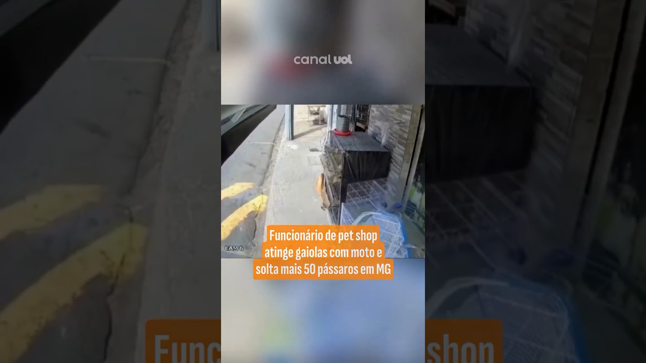 Funcionário de pet shop atinge gaiolas com moto e solta mais de 50 pássaros em MG vídeo