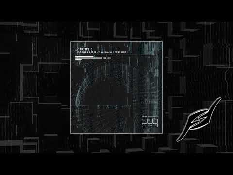 Native C - Trojan Horse (ft. Verbivore)