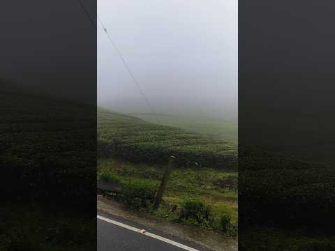 Kerala: The World's Most Sustainable Paradise