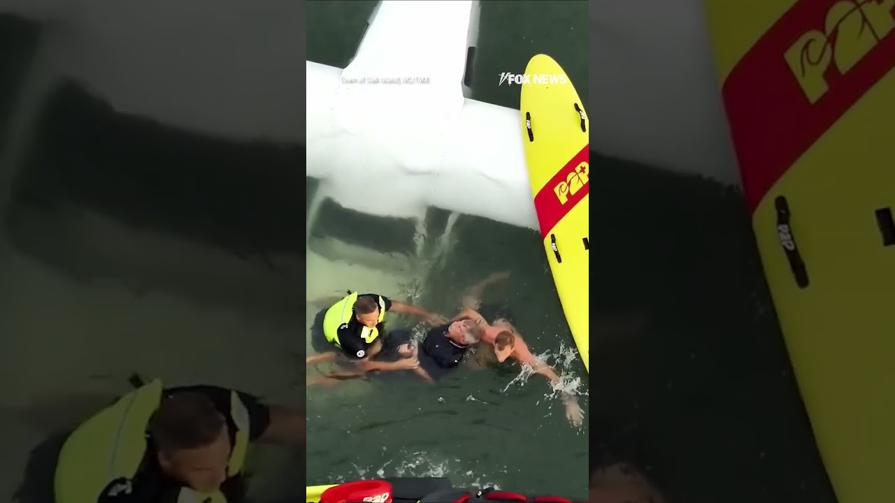 WATCH: Pilot rescued from ocean after stunning crash landing #foxnews #news #shorts