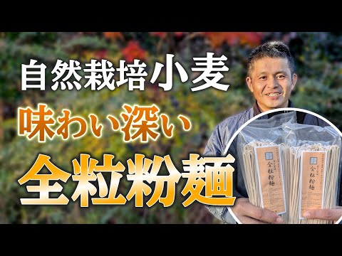 自然栽培「全粒粉麺」の特徴とは（自然栽培專門店ナチュラルスタイル）