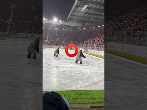 What is This On Pitch.? #ai #sora2 #aishorts #Gorilla #aishorts #sorashorts