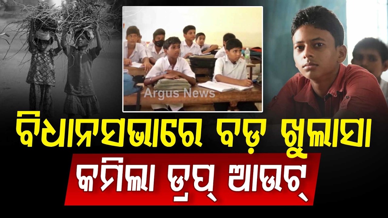 ବିଧାନସଭାରେ ବଡ଼ ଖୁଲାସା... | Odisha School Dropout Rate Drops to 14.1% | Odisha News | Assembly News