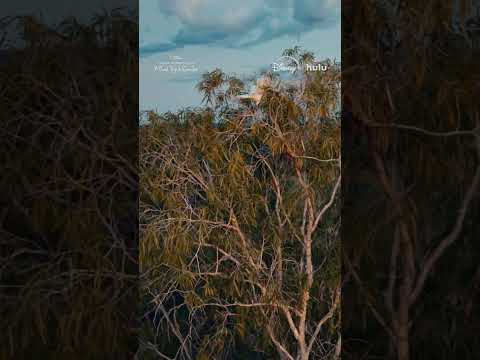 Does it get any more relaxing than this? #ChrisHemsworthRoadTrip