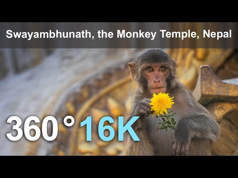 Swayambhunath, the Monkey Temple, Kathmandu, Nepal. 16K 360 video.